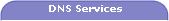 DNS Services